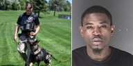 K9’s alert leads to drug, firearm bust in El Paso County