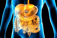 Clean Stomach Every Morning: Simple Nighttime Habits to Boost Digestive Health