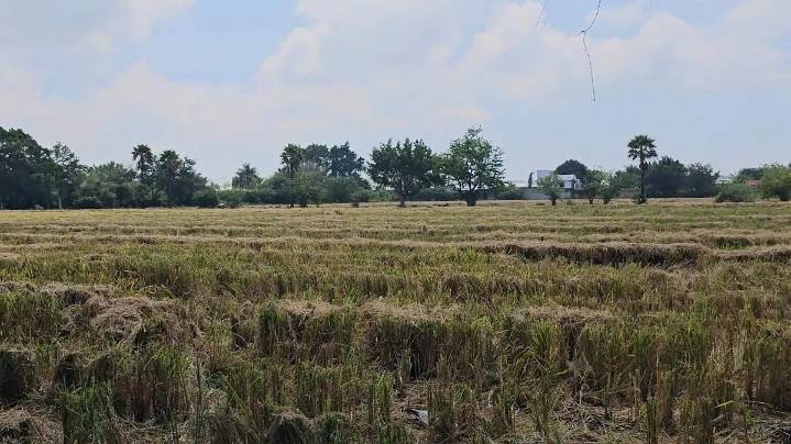 Es necesario analizar el crecimiento industrial en Cuautla: asociación civil