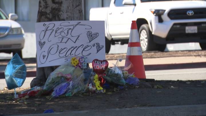 Family of child killed in City Heights hit-and-run speaks out – NBC 7 San Diego