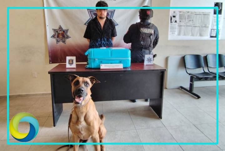 Kaiser no perdona: Delata a sujeto con “narcomaleta” en Tulum