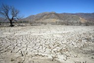 Chile suma 15 años de megasequía y casi 2 millones de hectáreas quemadas: advierten intensificación del cambio climático