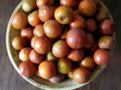 Beneficios para la salud del ponsigué