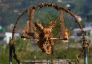 Our world in photos: October 20