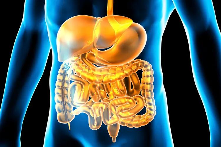 Clean Stomach Every Morning: Simple Nighttime Habits to Boost Digestive Health