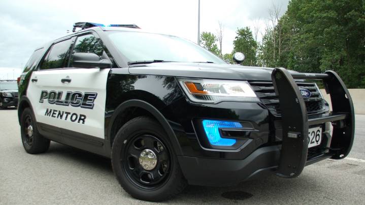 Mentor teen arrested on 36 felony counts related to sexually oriented material