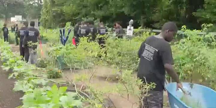 City of Charlotte, non-profits offer programs to reduce youth violent crime
