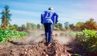 Aumentan las prestaciones por desempleo en el sector rural