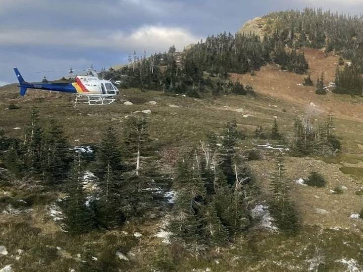 Hiker in critical condition after grizzly attack