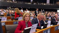García-Pelayo defiende ante el Parlamento europeo una PAC "más justa" para el campo jerezano