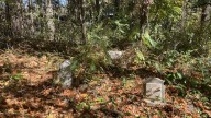 Judge sides with descendants of historic Black Buckhead community members in preservation of cemetery now next to townhomes