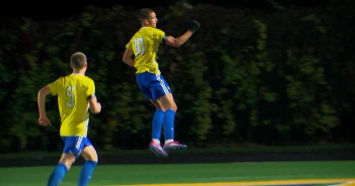 Prep soccer sectional finals set, top-seeded Madison West advances