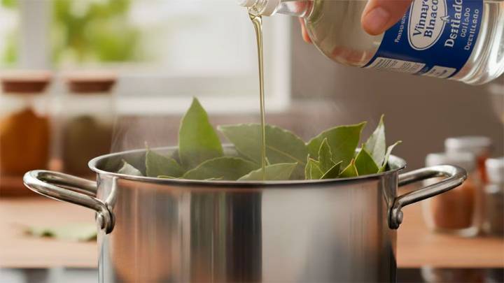 La mezcla de laurel y vinagre: un remedio natural con múltiples beneficios para tu hogar