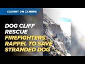 CAUGHT ON CAMERA | Firefighters rescue dog trapped on San Francisco cliff