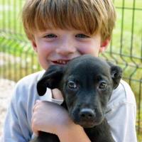 New babies and pets really can live happily together. Use these tips to make the transition easy.