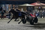 Beau Jangles blazes to Breeders’ Crown glory | Exeter Lakeshore Times Advance