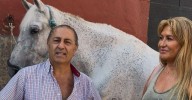 La cadena de solidaridad que salvó a nueve caballos tras el fin de los carruajes en Málaga
