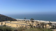 Los Angeles releases internal report on response to Palisades Fire