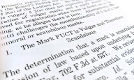 WTF? Round Two: The Federal Circuit Grants Brunetti (and Trademark Owners) a Reprieve
