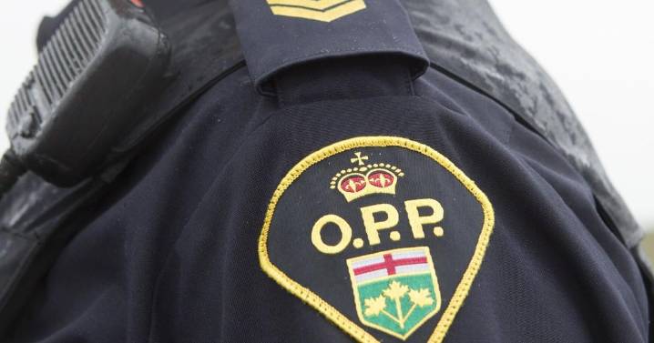 Guelph resident charged with spousal assault in Fergus