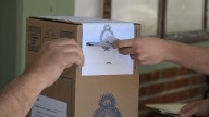 Evitá sanciones: así se justifica la no emisión del voto después de las elecciones