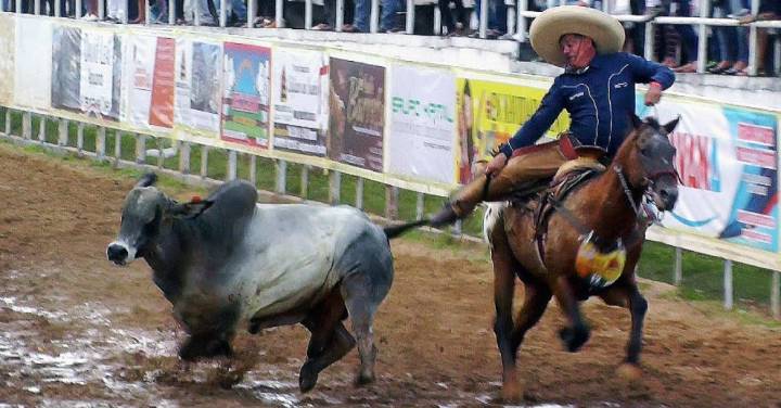 Asociación de Coleo deltana invita a elección de nueva directiva