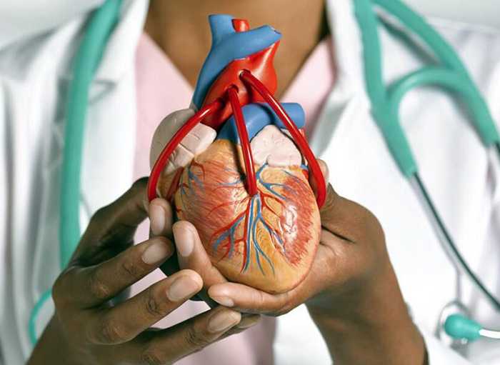 Enfermedades cardíacas son la principal causa de muerte