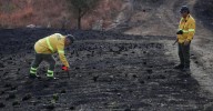 En busca del origen del fuego: así trabajan los 'sabuesos' de los incendios forestales en Málaga