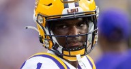 LSU trying to redshirt two defensive backs, Brian Kelly says