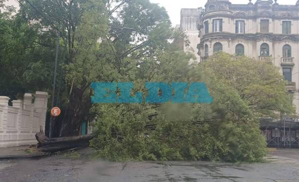 Diluvió en La Plata: pasó lo peor de la tormenta y cómo estará el tiempo durante el domingo e