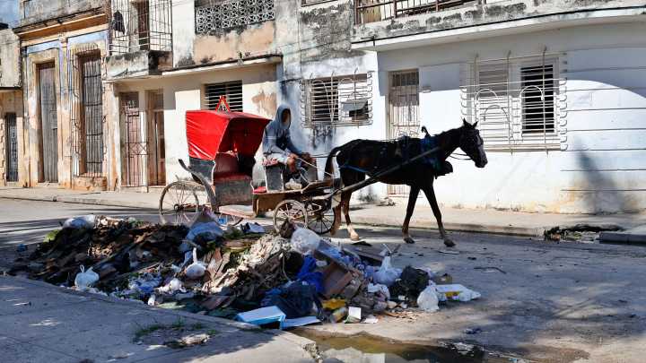 El Gobierno cubano reconoce un importante incremento en los casos de dengue, chikunguña y oropouche