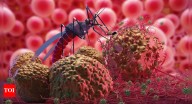 Malaria Symptoms: Malaria cases in Delhi hit record high: Key symptoms, prevention, and treatment