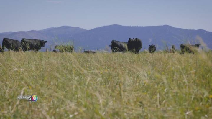 168 acres to burn in Tahoe National Forest for up to two weeks