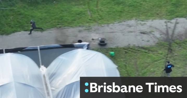 Police discover $15 million cannabis crop