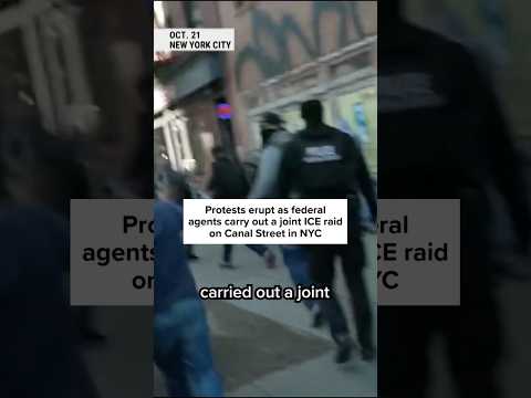 Protests erupt as federal agents carry out joint ICE raid on Canal Street in NYC