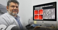 Investigador BUAP desarrolla biosensores para detectar bacterias patógenas y toxinas