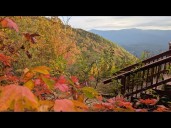 Georgia Forester explains fall colors, drought impact & fire safety
