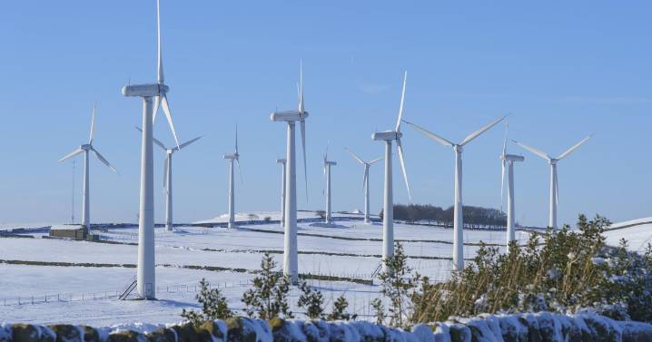 Renewable energy exceeds global coal power generation for the first time ever, analysis finds