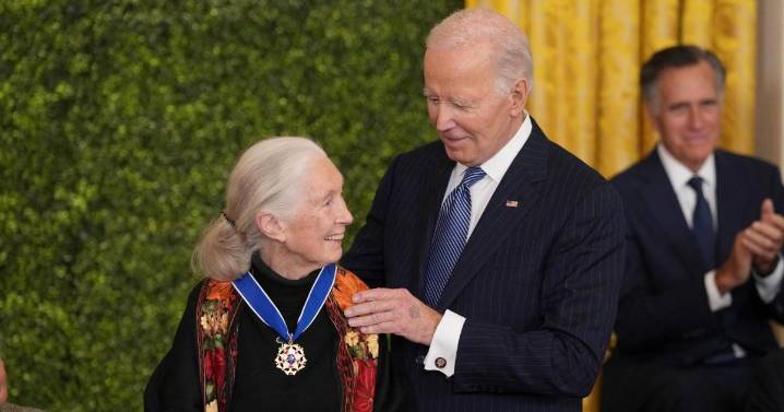 Muere a los 91 años Jane Goodall, la mujer que descubrió la vida secreta de los chimpancés