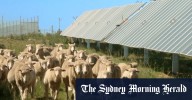 Renewable energy farmland fight: Nationals warn of destruction amid mapping project