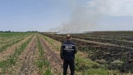 Detectan quema de caña en Bella Vista y apuntan a un sospechoso