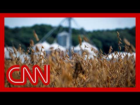 Soybean farmer on Trump's tariff war: 'I mean, where do they want me to market this stuff?'