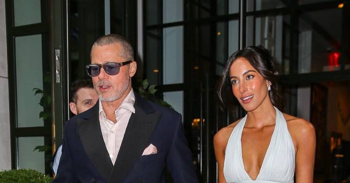 El gran paso que han dado Brad Pitt e Inés de Ramón en su relación