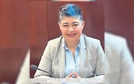 IEE, encargado de sustituir a Berjes