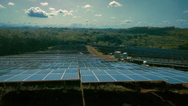 Solar And Wind Energy Overtook Coal As The World's Biggest Source Of Electricity In First Half Of 2025