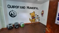 Concepción: El quirófano municipal llegó a las 1.250 castraciones felinas y caninas