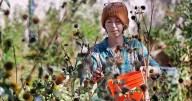 Rewilding workshop teaches how to restore yards to Flagstaff’s natural roots