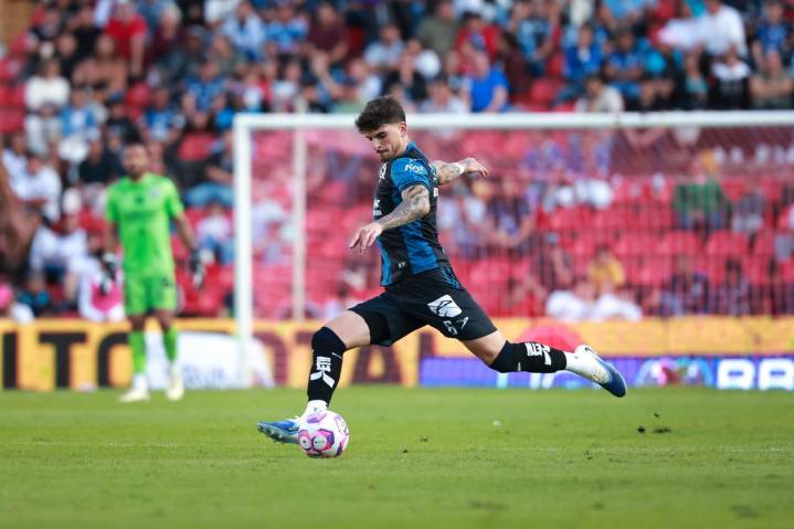 Gallos rugen en casa