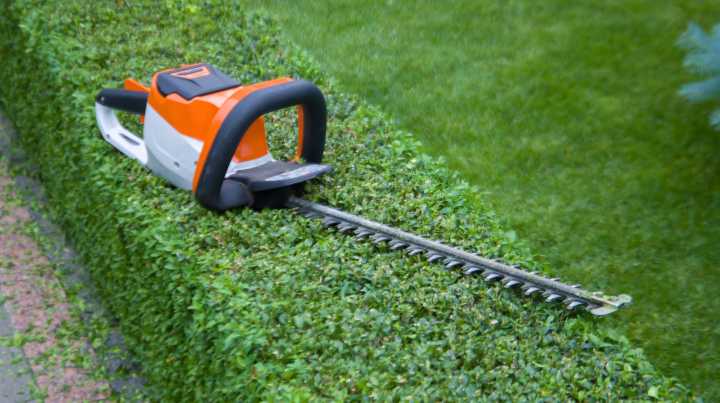 Hedge Trimmers Vs Cutter: How To Determine The Best Tool For Your Needs
