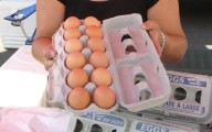 ¿Compraste huevos recientemente? Algunos vendidos en Houston están siendo retirados del mercado ante preocupaciones sobre salmonela